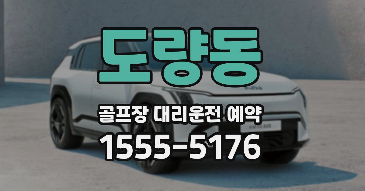 도량동 골프장 대리운전 예약