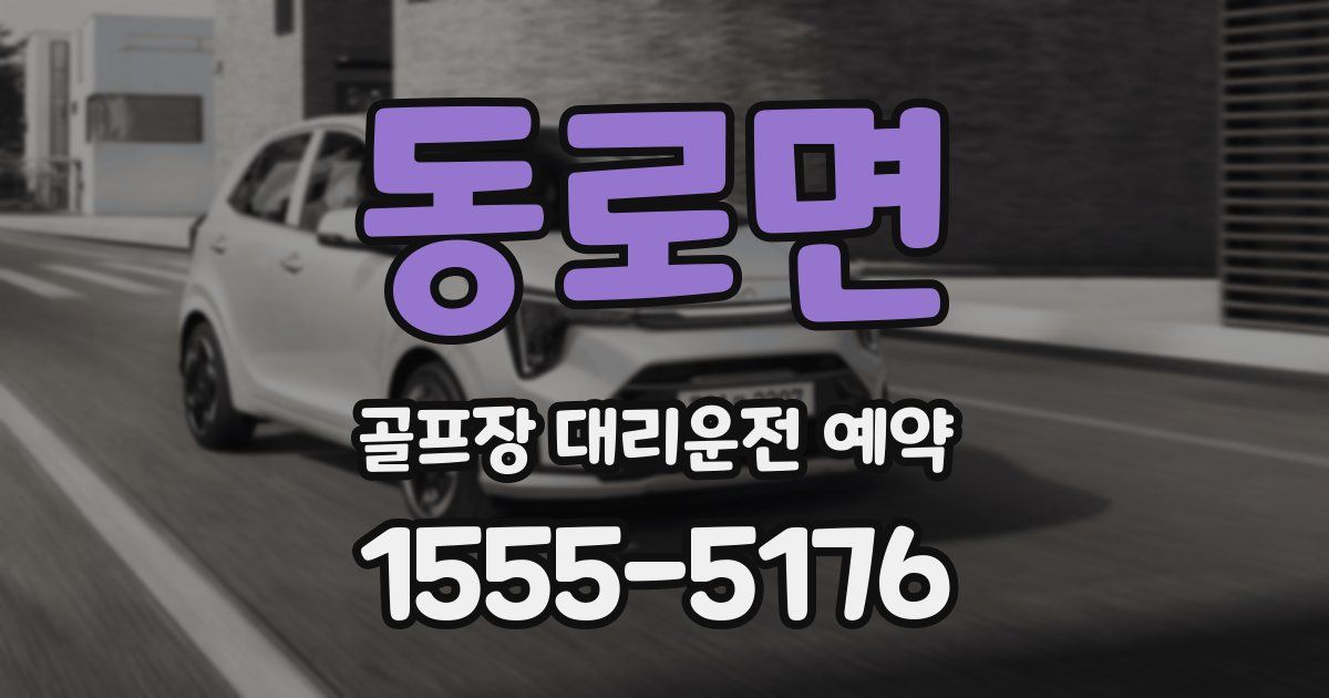 동로면 골프장 대리운전 예약