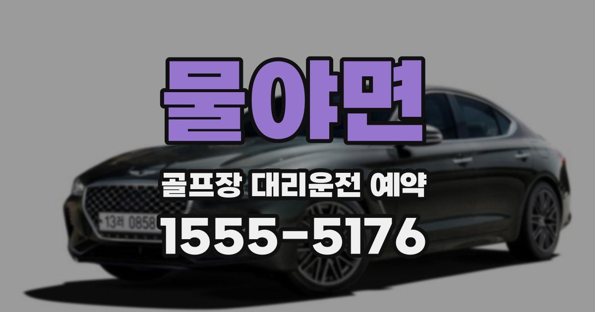 물야면 골프장 대리운전 예약