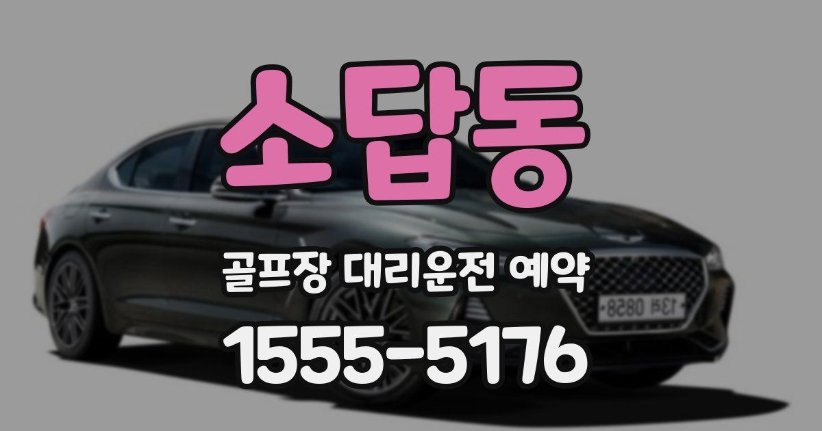 소답동 골프장 대리운전 예약