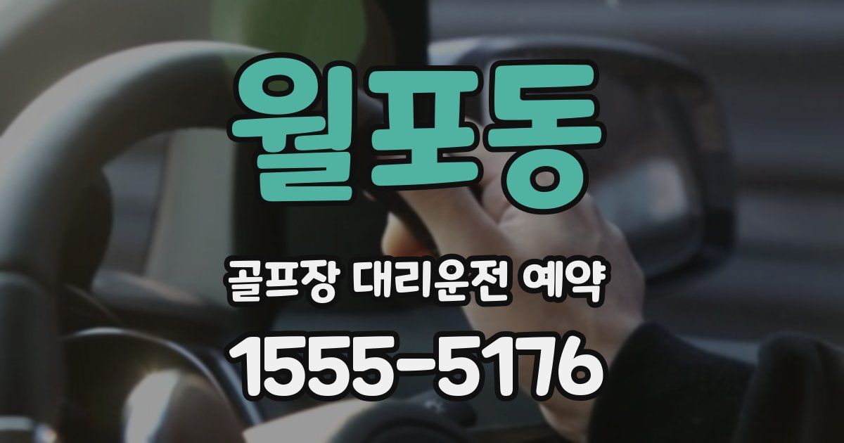 월포동 골프장 대리운전 예약