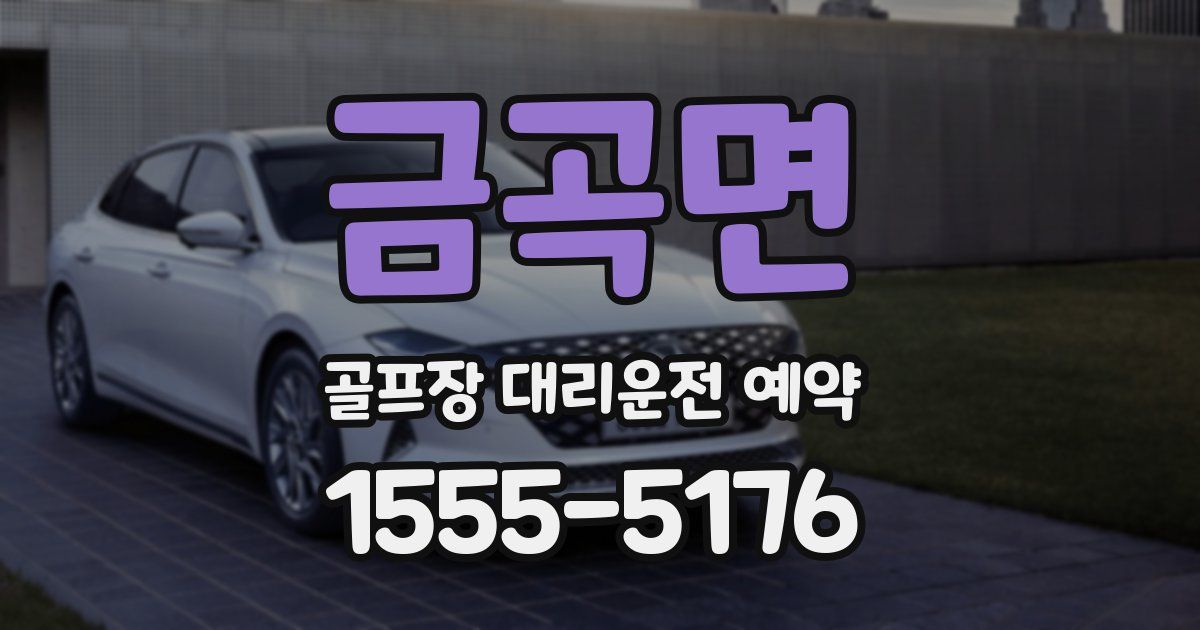 금곡면 골프장 대리운전 예약