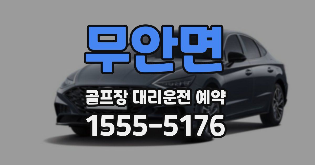 무안면 골프장 대리운전 예약