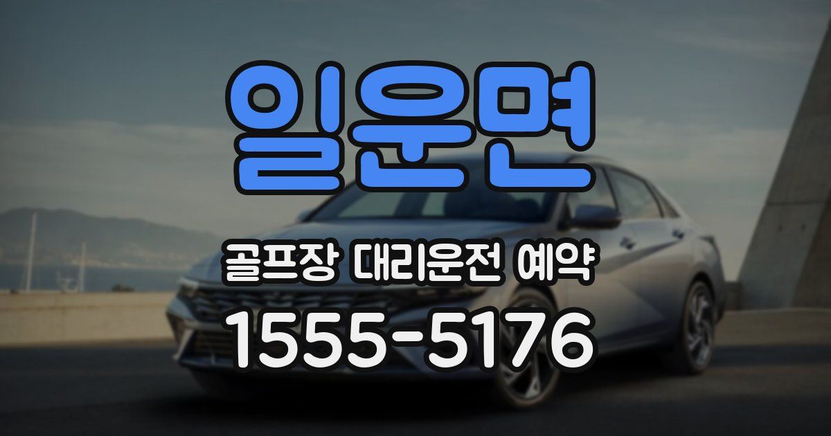 일운면 골프장 대리운전 예약