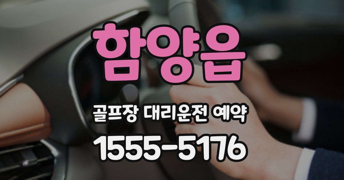 함양읍 골프장 대리운전 예약