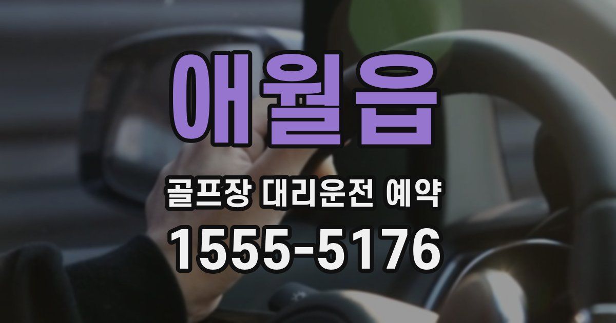 애월읍 골프장 대리운전 예약