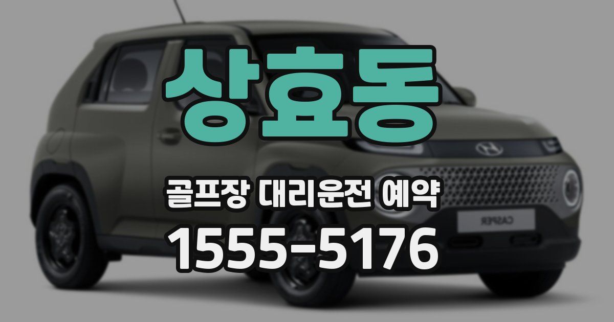 상효동 골프장 대리운전 예약