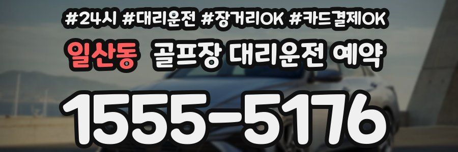 일산동 골프장 대리운전 예약