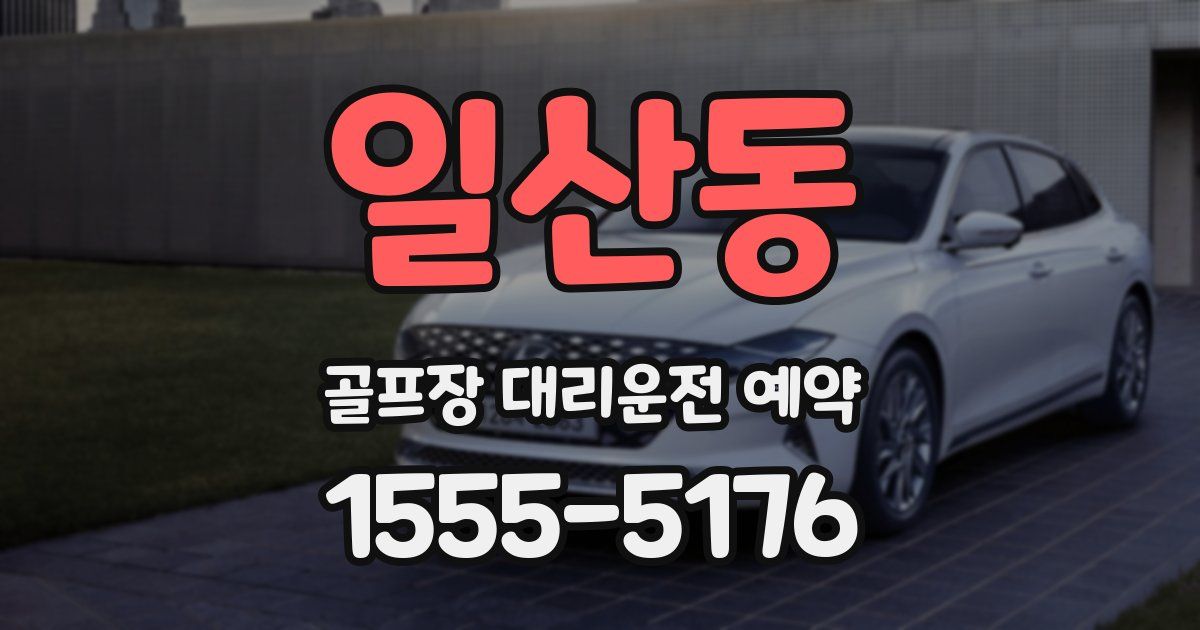일산동 골프장 대리운전 예약