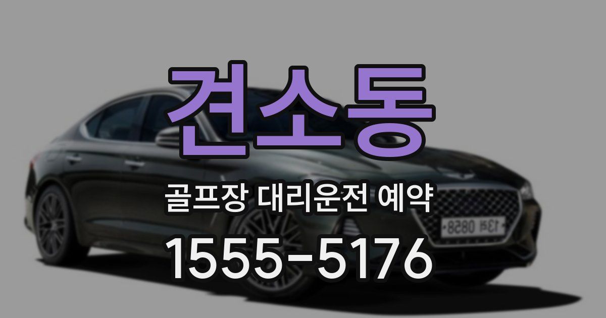 견소동 골프장 대리운전 예약