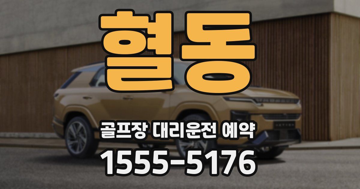 혈동 골프장 대리운전 예약
