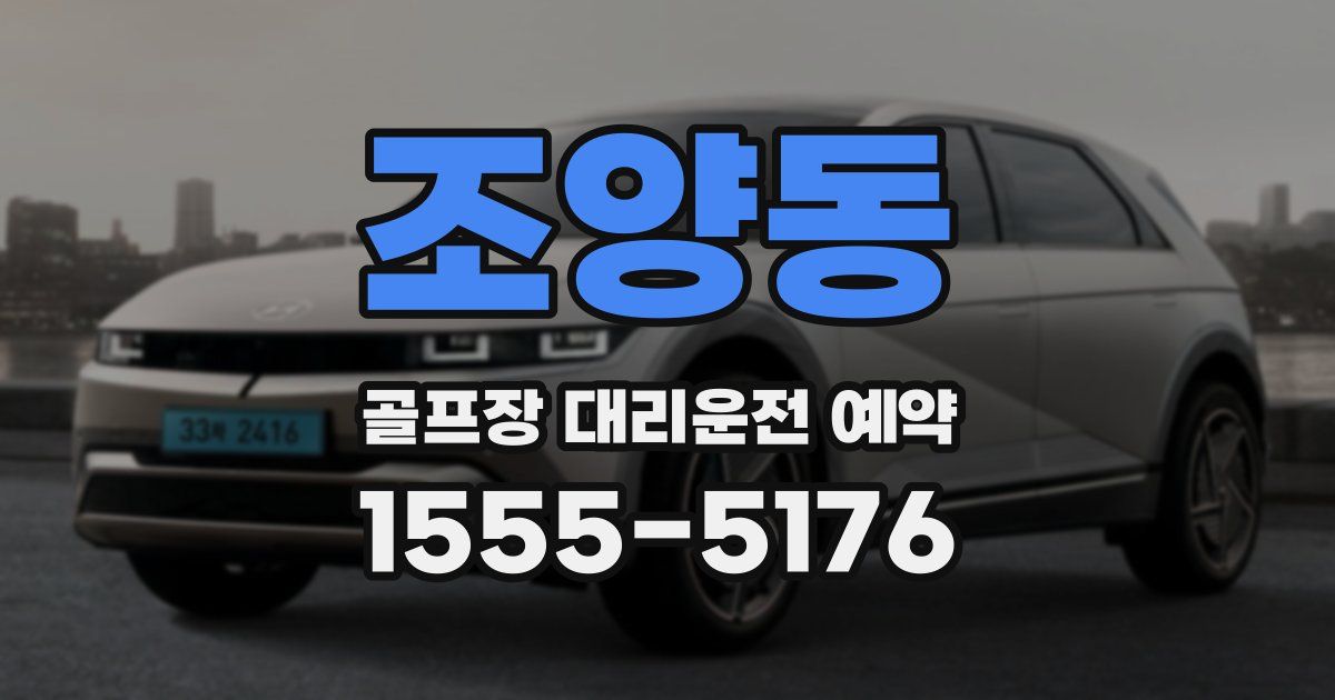 조양동 골프장 대리운전 예약