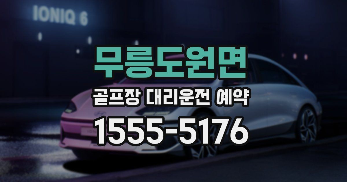 무릉도원면 골프장 대리운전 예약