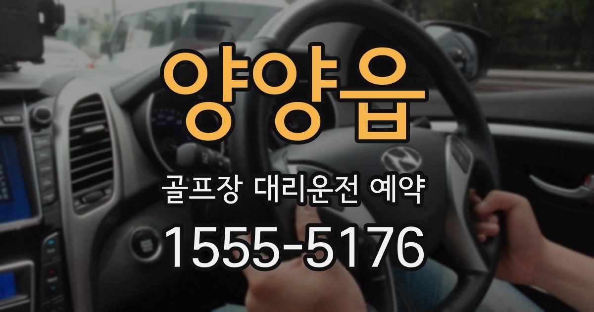양양읍 골프장 대리운전 예약