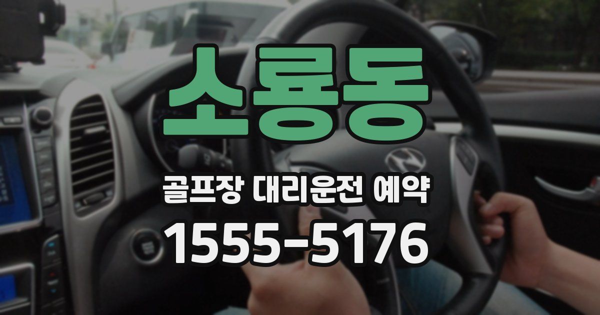 소룡동 골프장 대리운전 예약