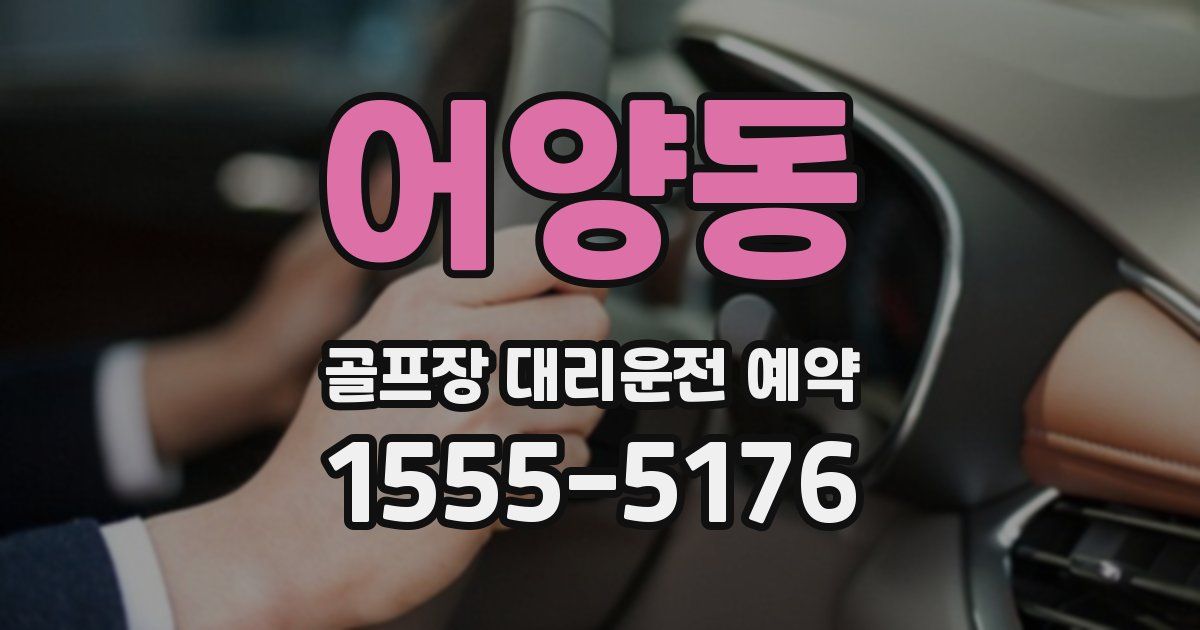어양동 골프장 대리운전 예약