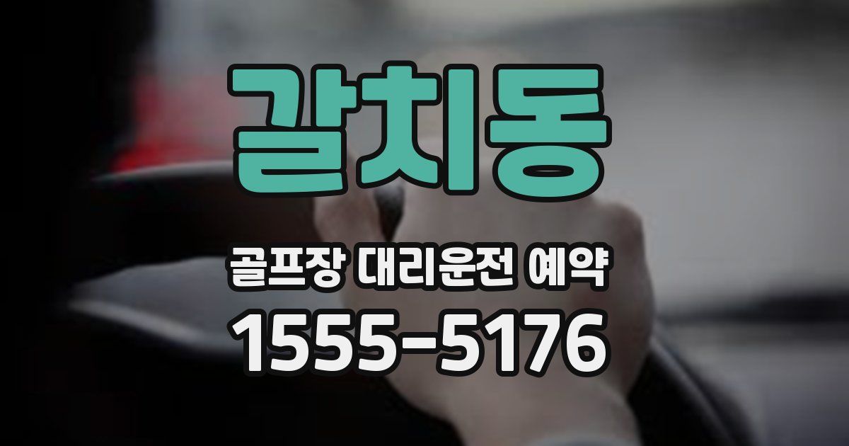 갈치동 골프장 대리운전 예약
