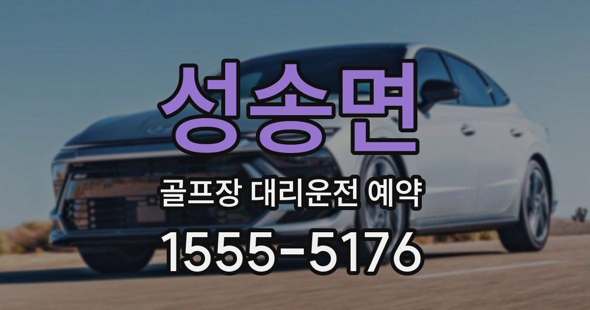 성송면 골프장 대리운전 예약