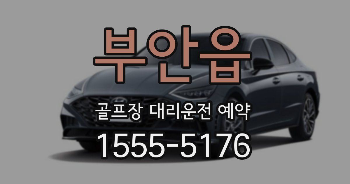 부안읍 골프장 대리운전 예약