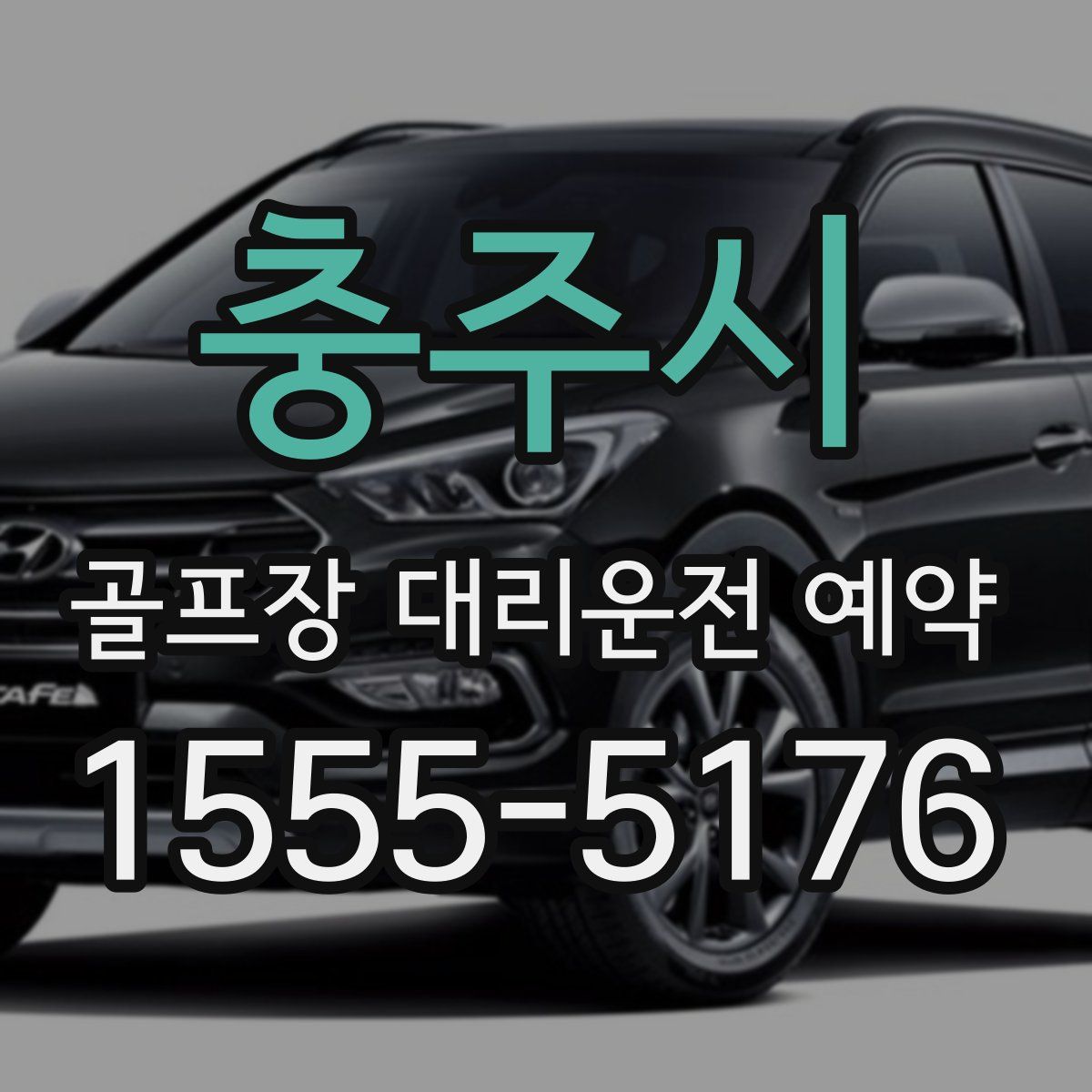 충주시 골프장 대리운전 예약