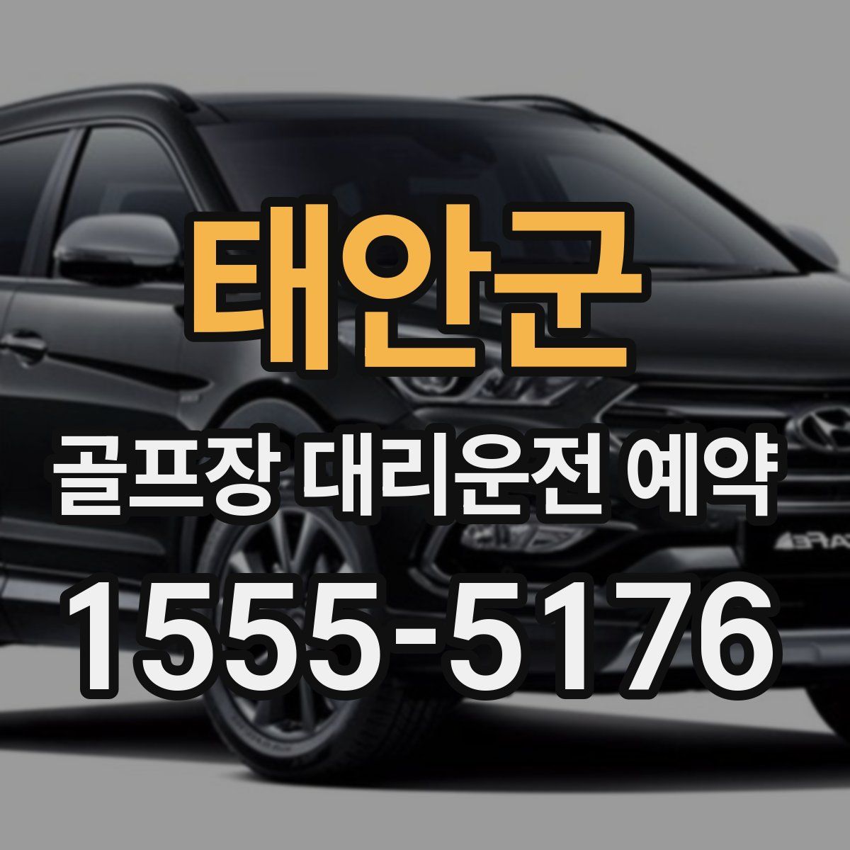 태안군 골프장 대리운전 예약