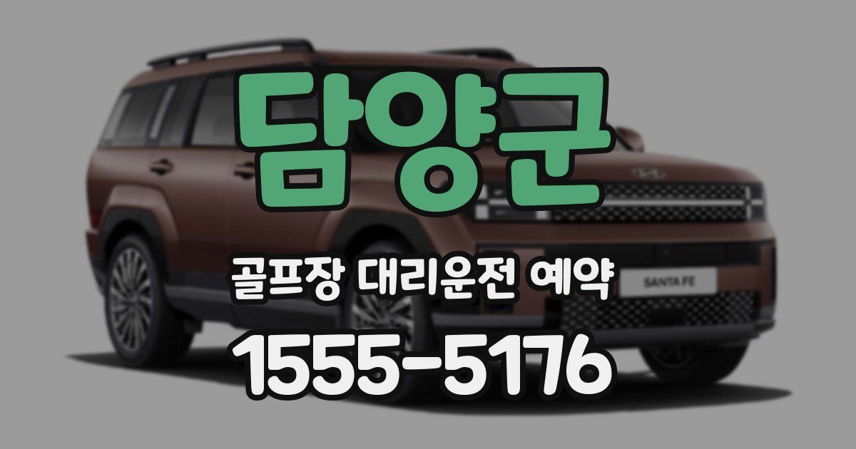 담양군 골프장 대리운전 예약