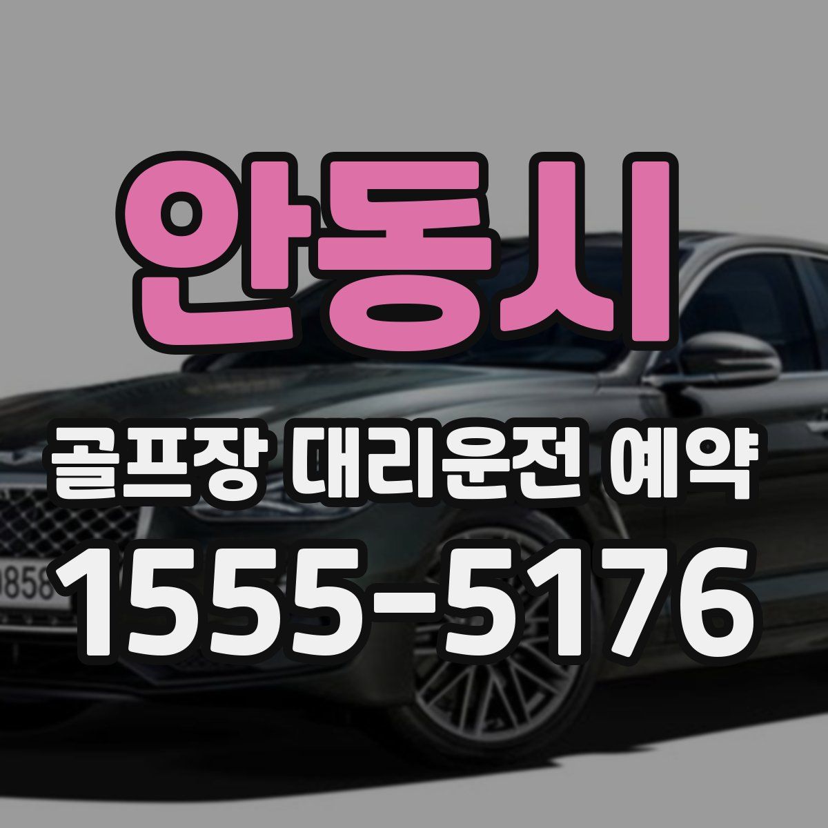 안동시 골프장 대리운전 예약