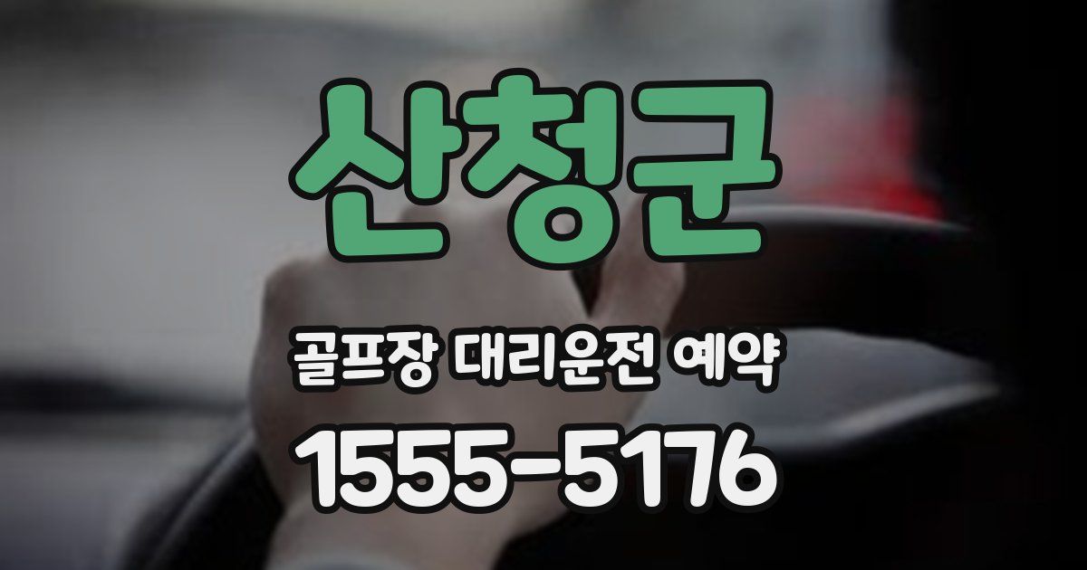 산청군 골프장 대리운전 예약