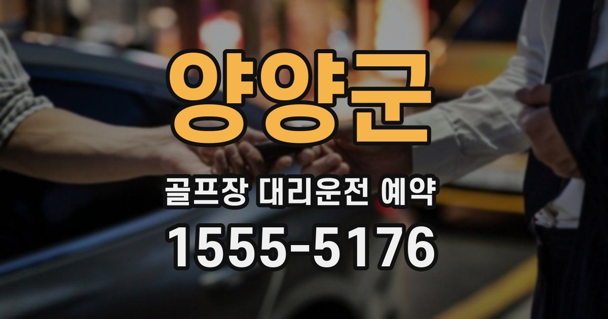 양양군 골프장 대리운전 예약