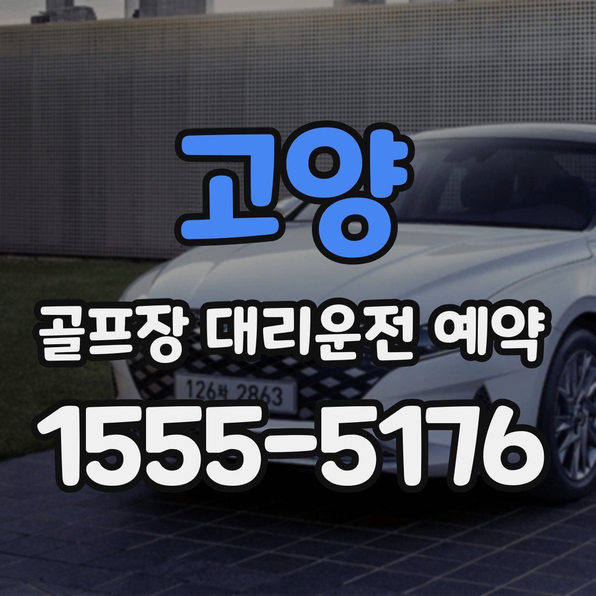 고양 골프장 대리운전 예약
