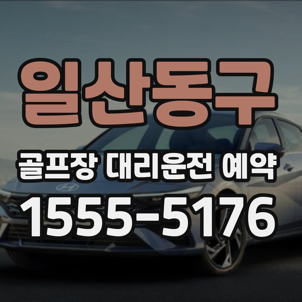 일산동구 골프장 대리운전 예약