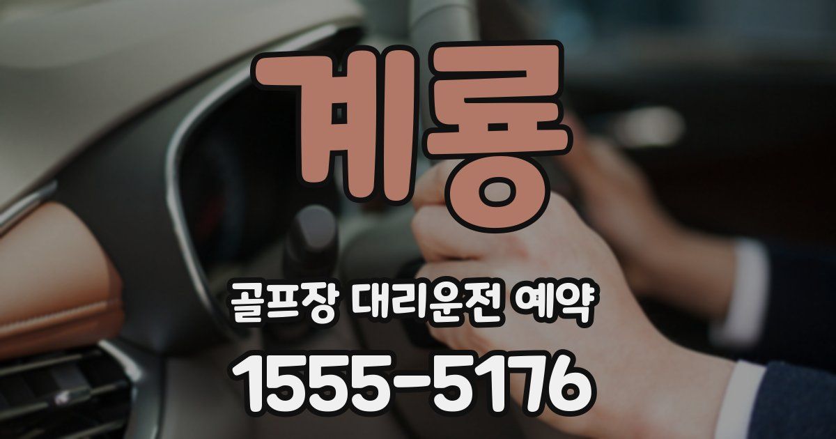 계룡 골프장 대리운전 예약
