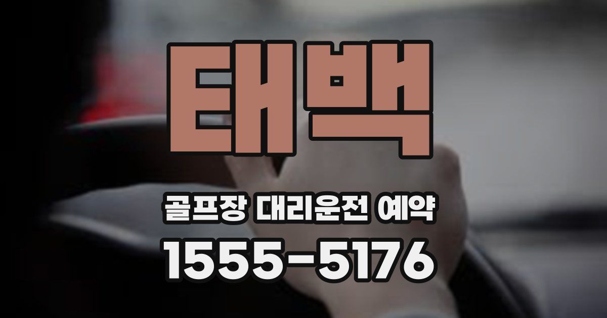 태백 골프장 대리운전 예약