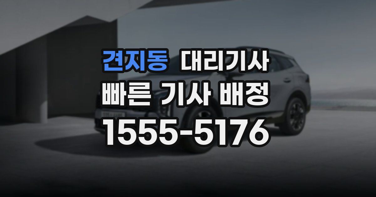 견지동 대리기사