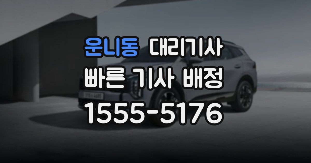 운니동 대리기사