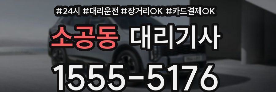 소공동 대리기사