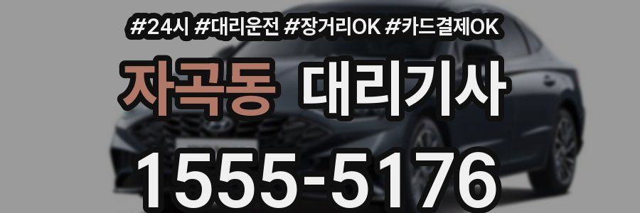 자곡동 대리기사