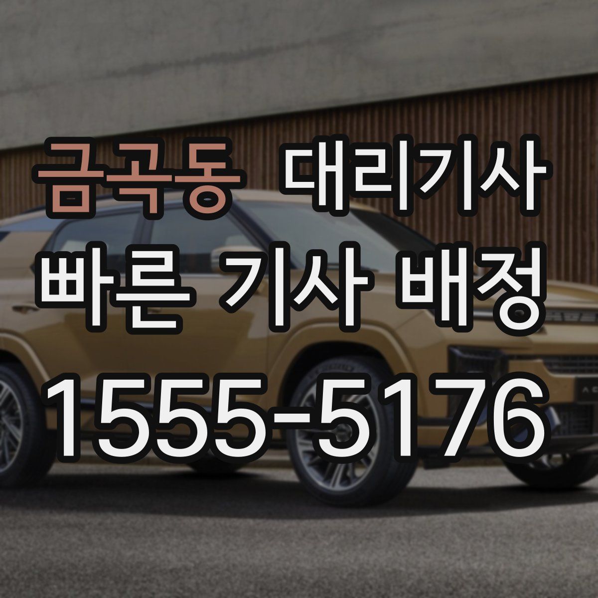 금곡동 대리기사