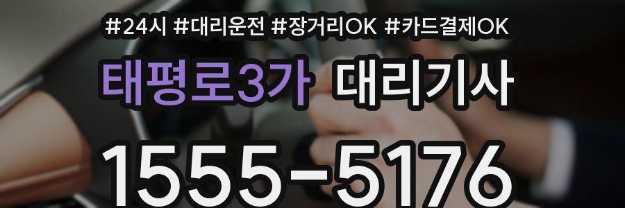 태평로3가 대리기사