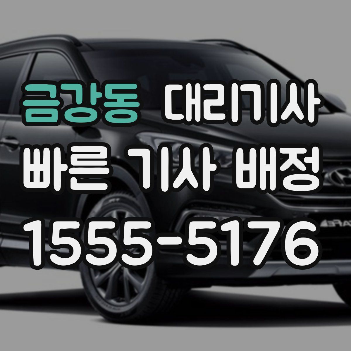 금강동 대리기사