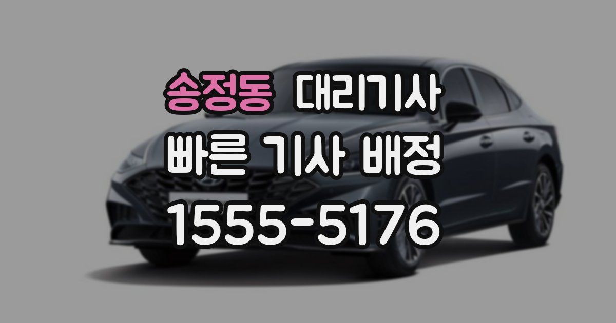 송정동 대리기사