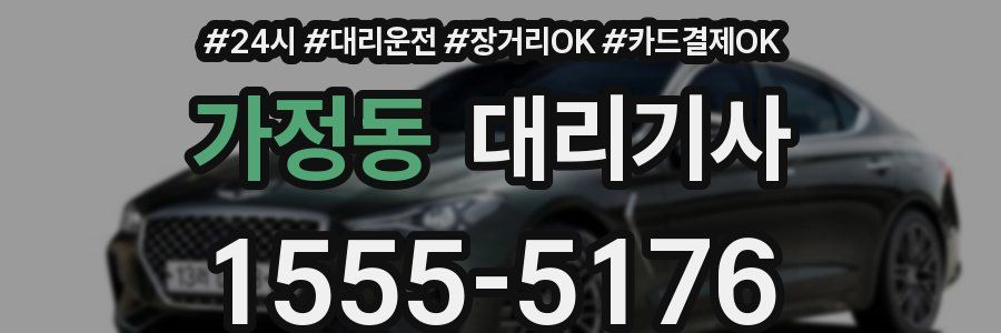 가정동 대리기사