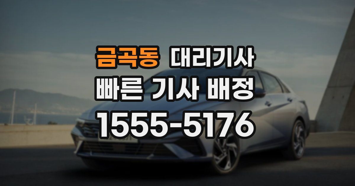금곡동 대리기사