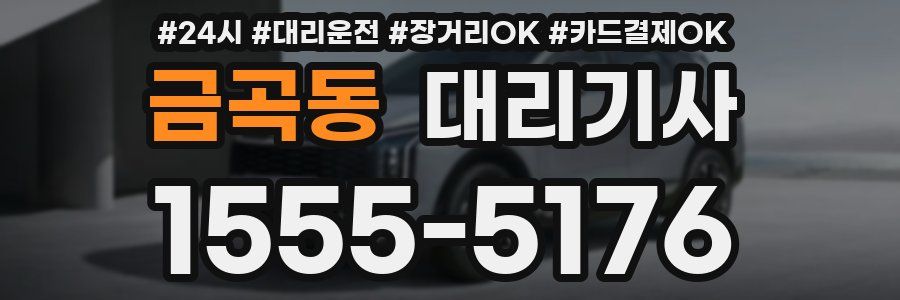 금곡동 대리기사