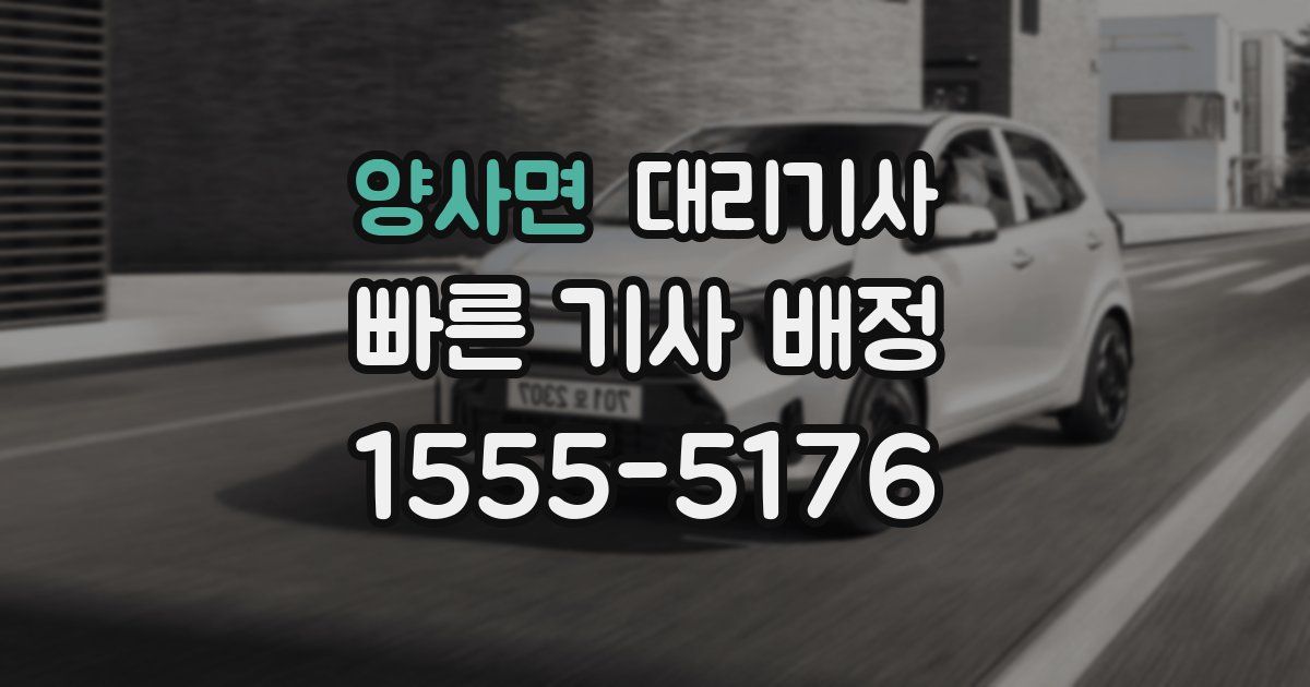 양사면 대리기사