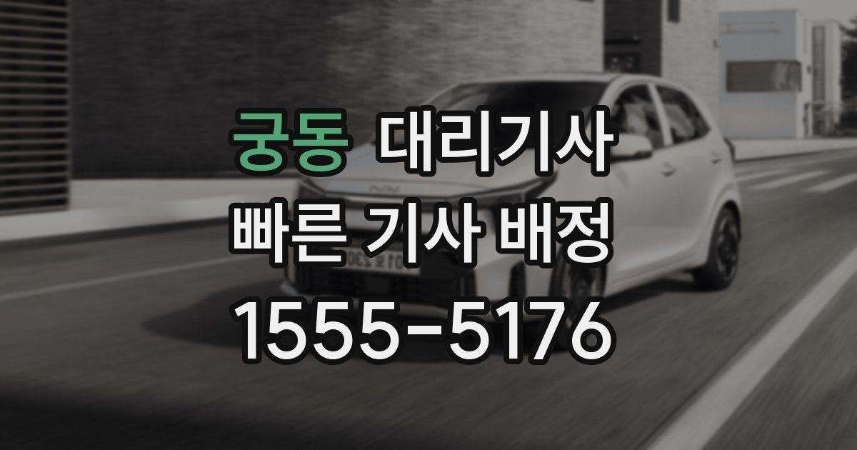 궁동 대리기사