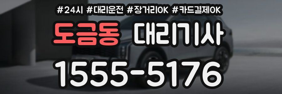 도금동 대리기사