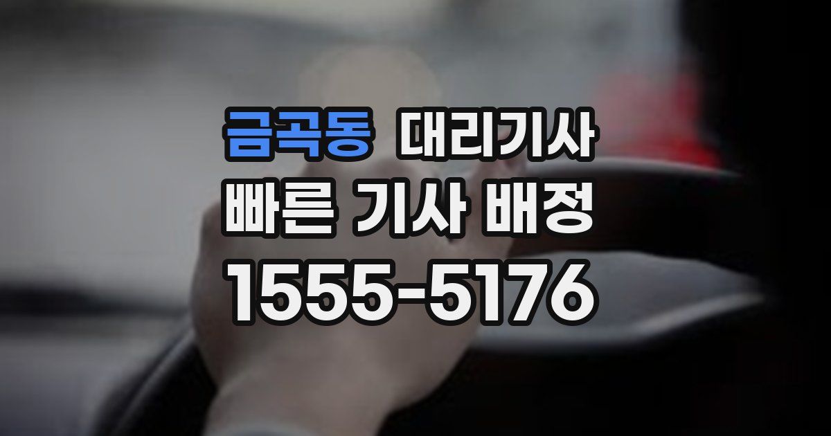 금곡동 대리기사