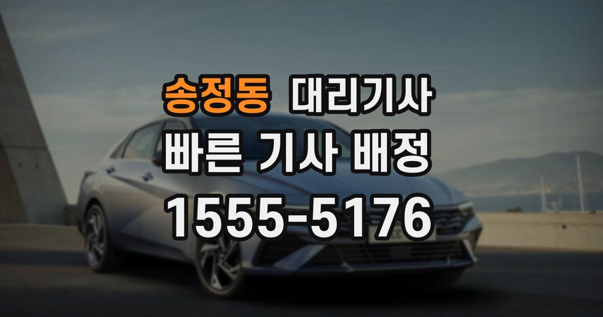 송정동 대리기사