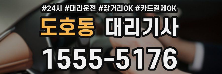 도호동 대리기사
